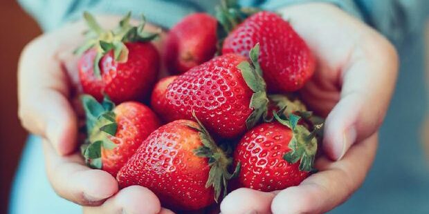 Manfaat Strawberry Untuk Ibu Hamil
